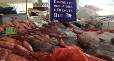 pesce-pescato-banco-vendita-prodotti-ittici-sicilia