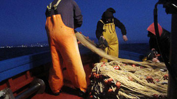 pesca-pescatori-in-battuta-a-bordo-di-peschereccio-marsalanews