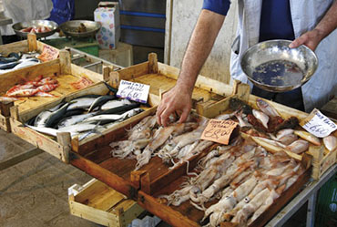 mercato ittico _ peso pesce