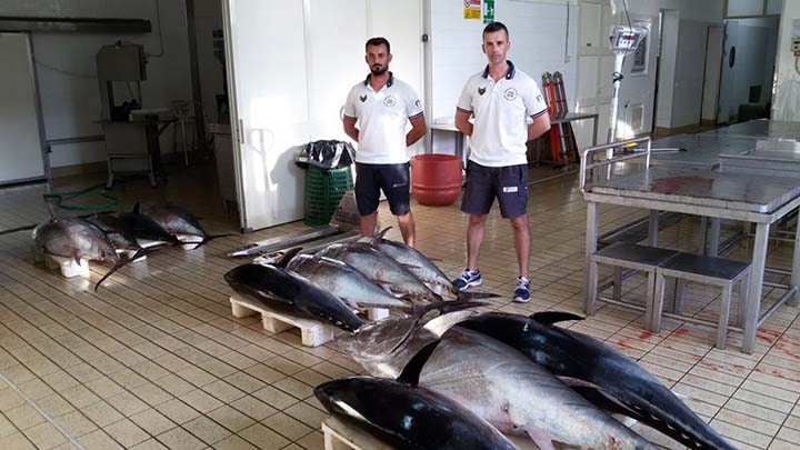 Marsala maxi sequestro di tonno rosso ad opera della Guardia Costiera