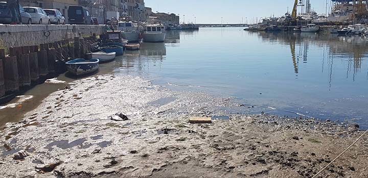 Porto di Mazara: La Filiera Ittica mazarese pronta ad iniziative per sbloccare la situazione di stallo