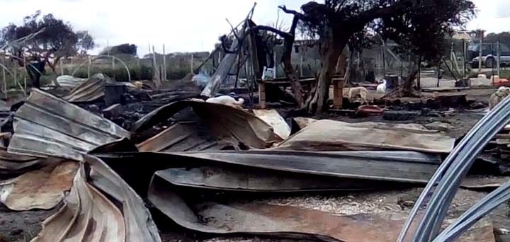 Marsala, incendio distrugge una capanna che ospitava circa 100 cani, alcuni morti
