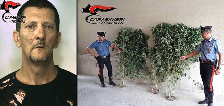 Coltivava piante di marijuana arrestato dai Carabinieri