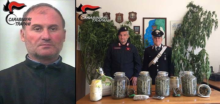 Marsala: nascondeva piante di marijuana tra i pomodori, arrestato