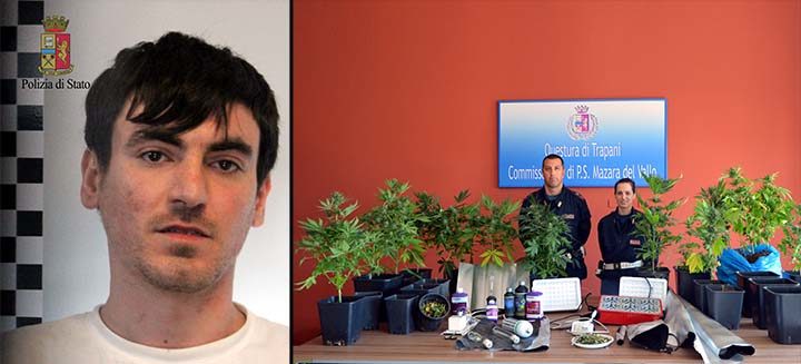 In mansarda 13 piante di marijuana, arrestato un mazarese