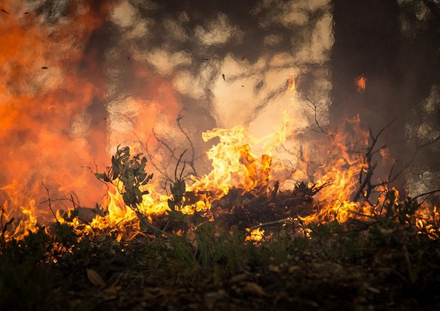 Prevenzione degli incendi boschivi a Trapani e provincia, firmato un documento operativo