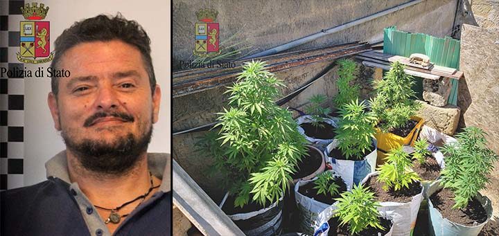 In casa con 80 piante di cannabis e 180 grammi di marijuana, arrestato un mazarese