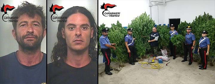 Scoperta nuova piantagione di marijuana, due arresti a Mazara